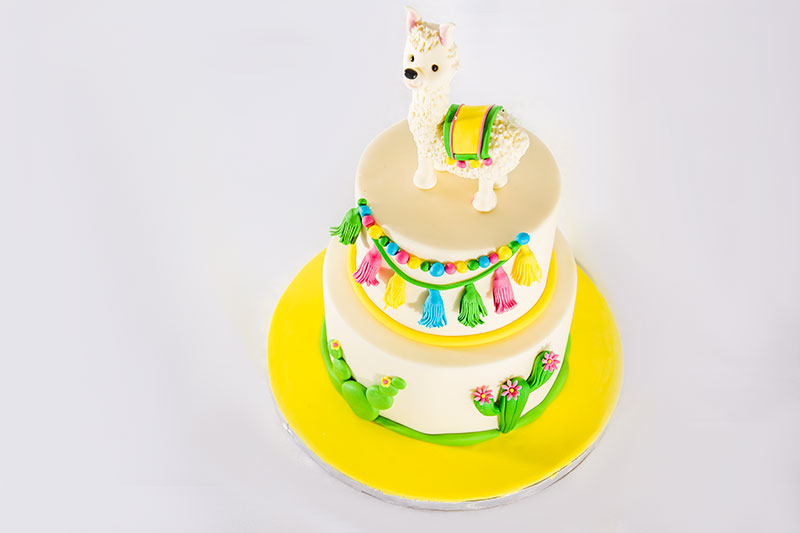 Açúcar às Bolinhas - Cake Design, Workshops e Decoração de Festas
