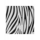 Tela de Impressão Zebra