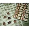 Molde Silicone para Discos Chocolate