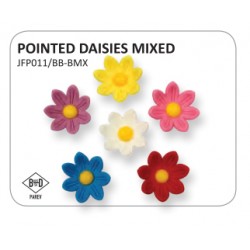 Margaridas de Açúcar Cx200