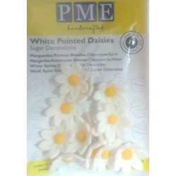 Margaridas de Açúcar Cj.12 Pme