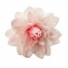 Dália de Hóstia 12,5 cm