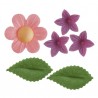 Flores e Folhas Hóstia 