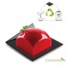 Base Preta Compostável