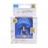 Petifures Ravenclaw Harry Potter PME Cj.30