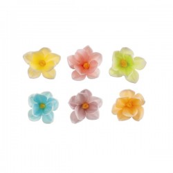 Flores de hostia