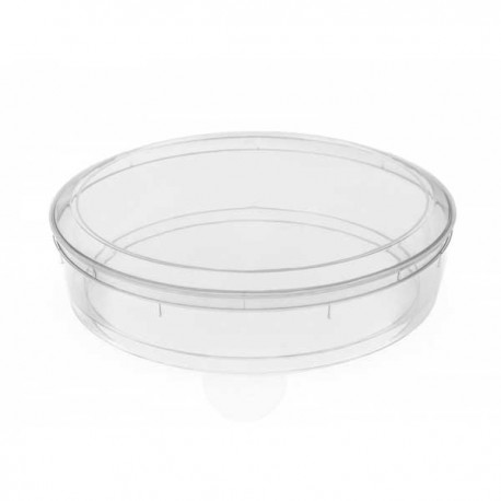 Embalagem Tarte Semifrio