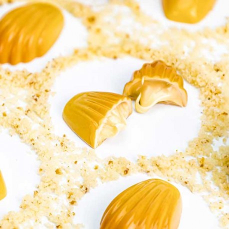 Molde Policarbonato Madalenas Chocolate