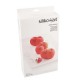 Molde Silicone Segredos do Bosque Silikomart