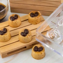 Molde Policarbonato Bombons Chocolate com Grãos de Café
