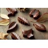 Molde Silicone Bombons Natureza (Folhas)