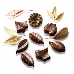 Molde Silicone Bombons Natureza (Folhas)