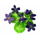 Cortadores Flores Violetas