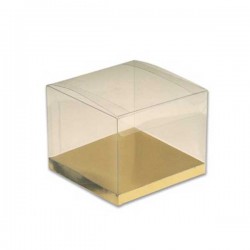 Caixa Transparente 